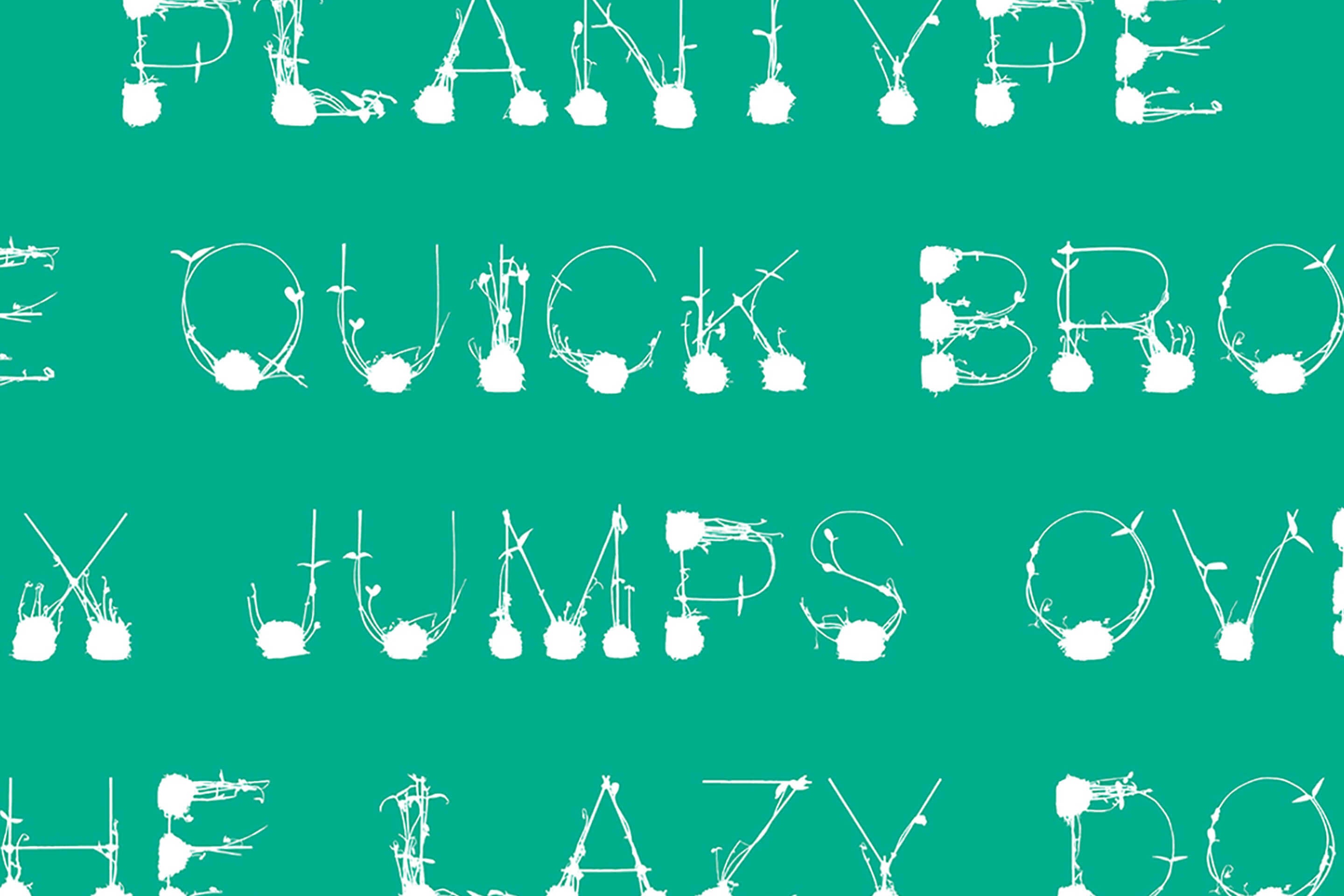Plantype