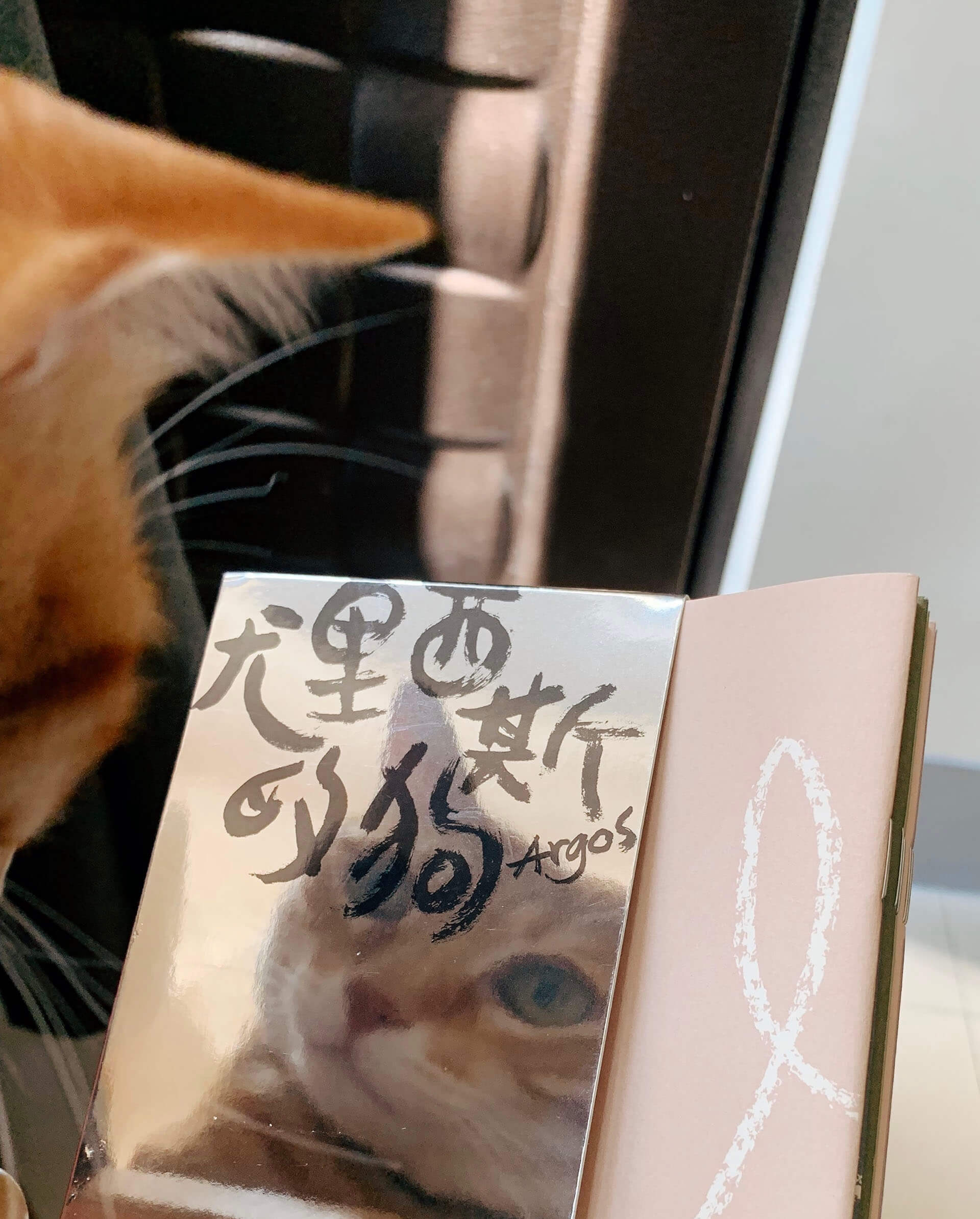 尤里西斯的狗書籍裝幀設計